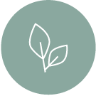 zenement-natural-products2